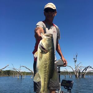 Meet your Posher, Augustine